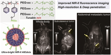 Graphical abstract:Polymeric engineering of AIEgens for NIR-II fluorescence imaging and detection of abdominal metastases of ovarian cancer in vivo